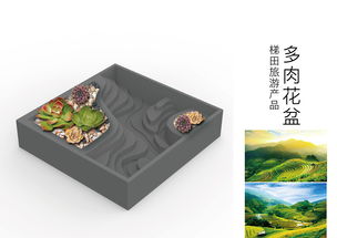 梯田旅游 融合自然与文化的独特体验