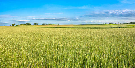 俯瞰丰收 无人机视角下的空中农业景观