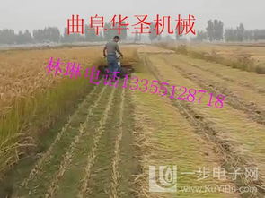 内蒙古轮式谷物收割机 多种型号满足谷物种植需求