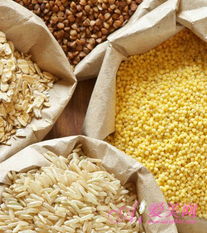全谷物 防癌排毒之宝，亦需科学食用与可持续种植