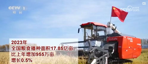 粮油丰供给足，谷物种植为经济持续恢复向好提供坚实支撑