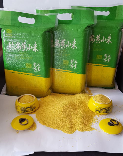 黑土金谷 吉林黄小米的品质传承与产业链创新