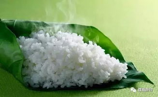 鱼台大米品牌崛起 谷物种植的科学与文化之道